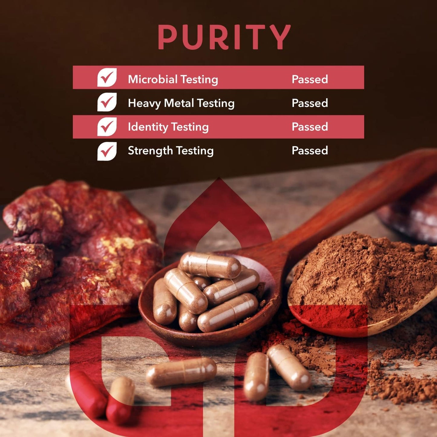 Organic Reishi Mushroom Powder | Ganoderma Lucidum Mycelium | Rich in Polysaccharides